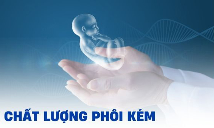 Hình ảnh minh họa chất lượng phôi kém