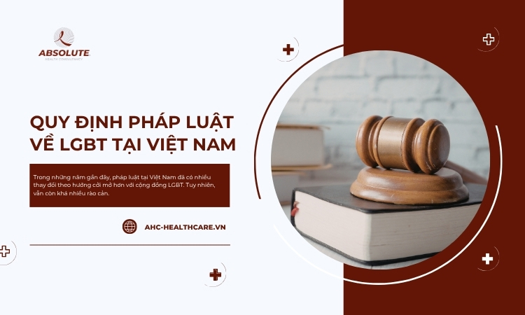 Quy định pháp luật về LGBT tại Việt Nam