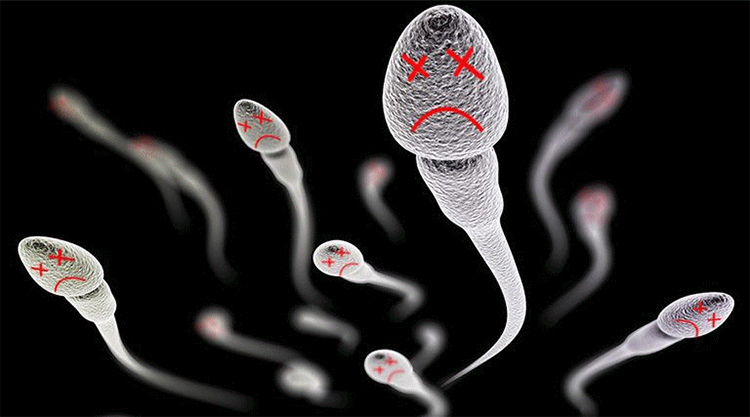 IVF thường được chỉ định cho phụ nữ bị tắc hoặc tổn thương hai vòi trứng 