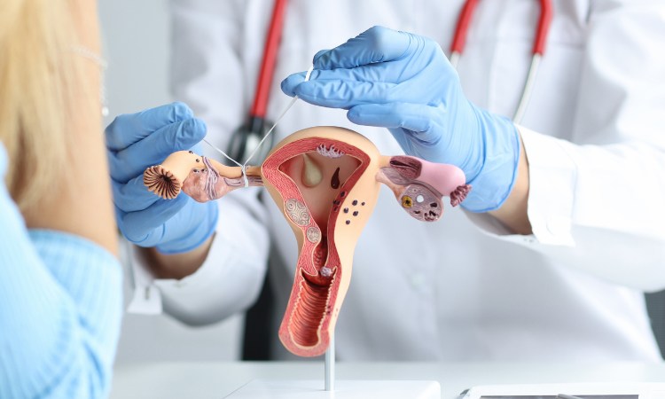 Bác sĩ sẽ lựa chọn phương pháp điều trị dựa trên mức độ tổn thương sau khi kiểm tra lâm sàng