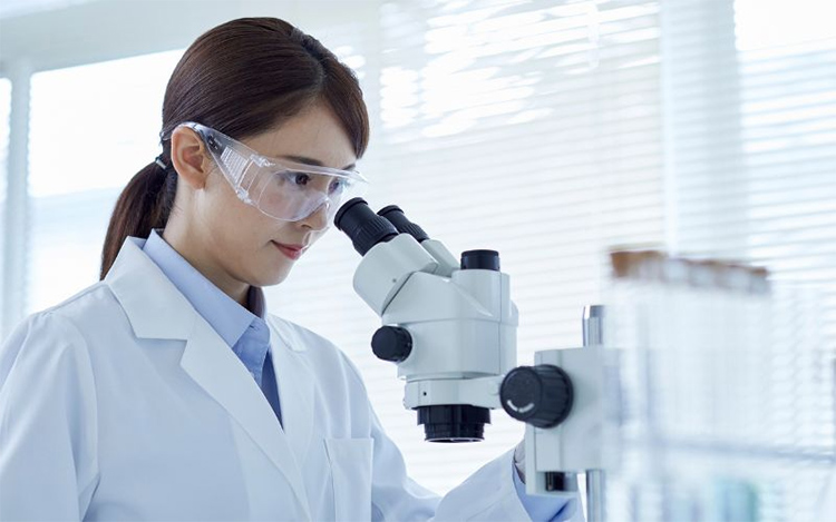 Quy trình sàng lọc phôi diễn ra trong phòng lab hiện đại