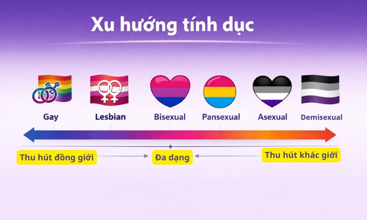 Xu hướng tính dục thể hiện sự hấp dẫn về tình cảm hoặc tình dục của con người 