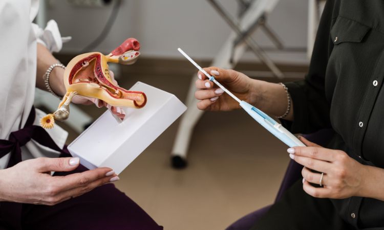 IUI thường được dành cho cặp vợ chồng vô sinh, hiếm muộn mức độ nhẹ 