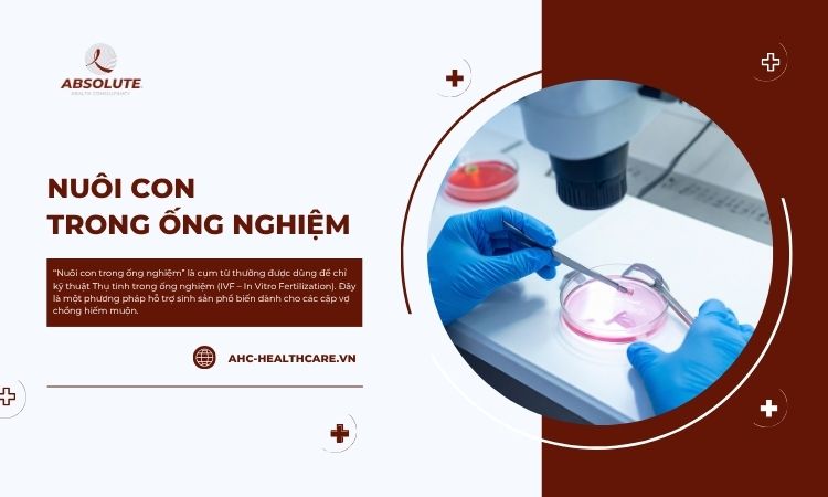Nuôi con trong ống nghiệm là gì?