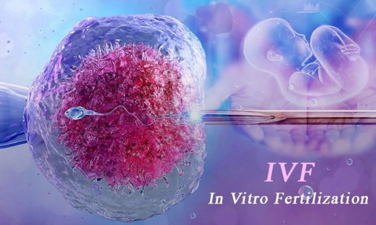 Chỉ số Prolactin ở ngưỡng cao có thể ảnh hưởng đến kết quả IVF